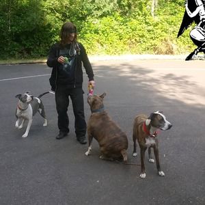 Meet your Posher, Johnny